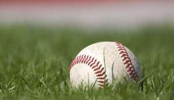 Baseball sitting in grass. © Can Stock Photo Inc. / Stevemc