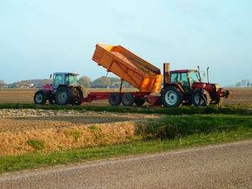 Agriculture workers operate tractors full of potatoes. (Photo courtesy of EricPruis via morgueFile)